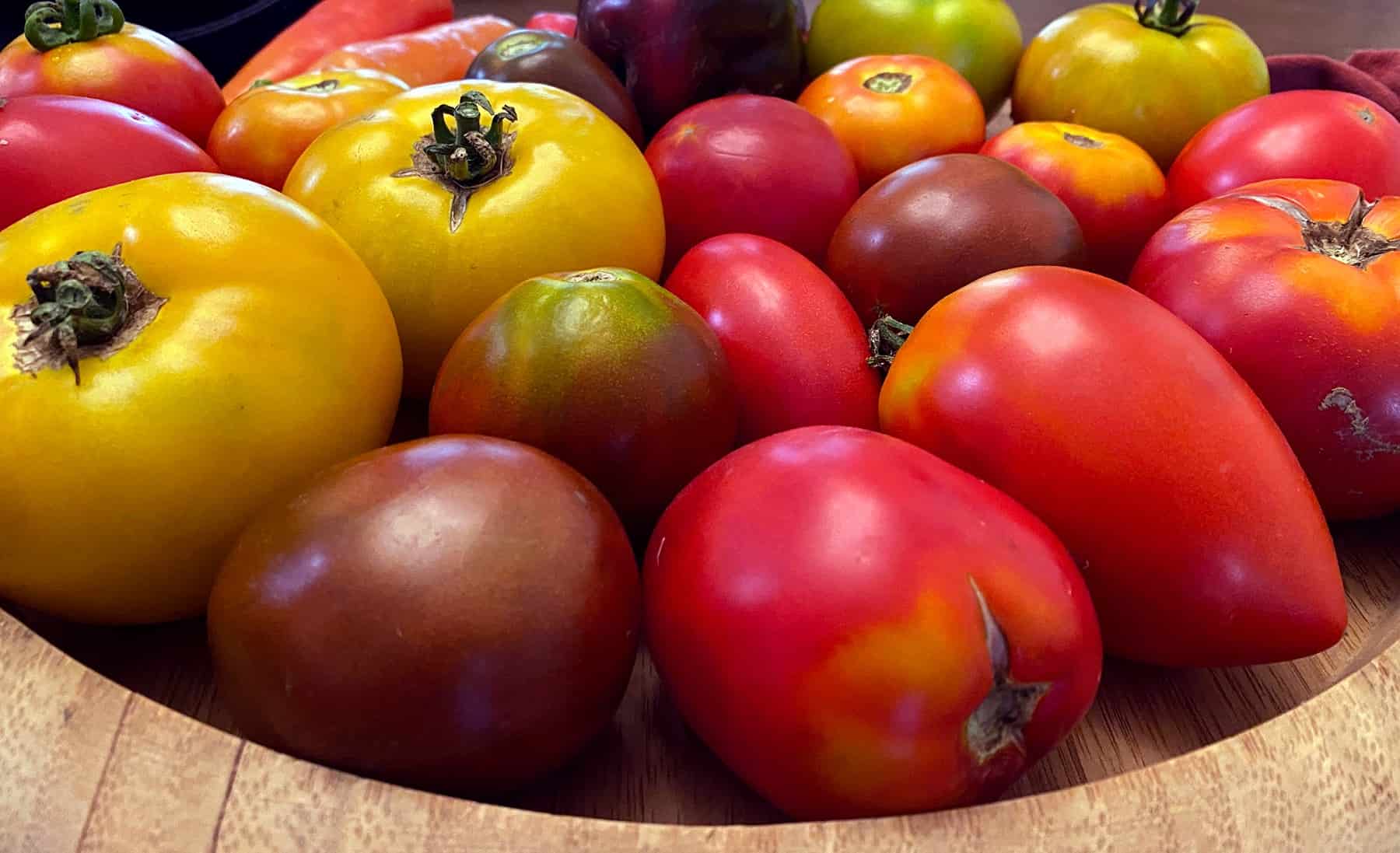 10 Concepts for Rising Tomatoes * Large Weblog of Gardening