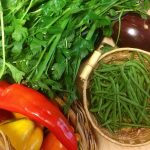 Can a Vegetable Yard Save You Money on Groceries? * Large Weblog of Gardening