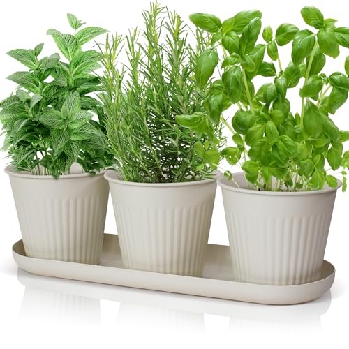 KIBAGA Beautiful Herb Garden Planter Indoor Set of 3 - Perfect for Any Kitchen Window Sill or Countertop - A Modern Decor Gardening Planter Kit Incl. Tray & Drainage Holes to Grow Fresh Herbs at Home